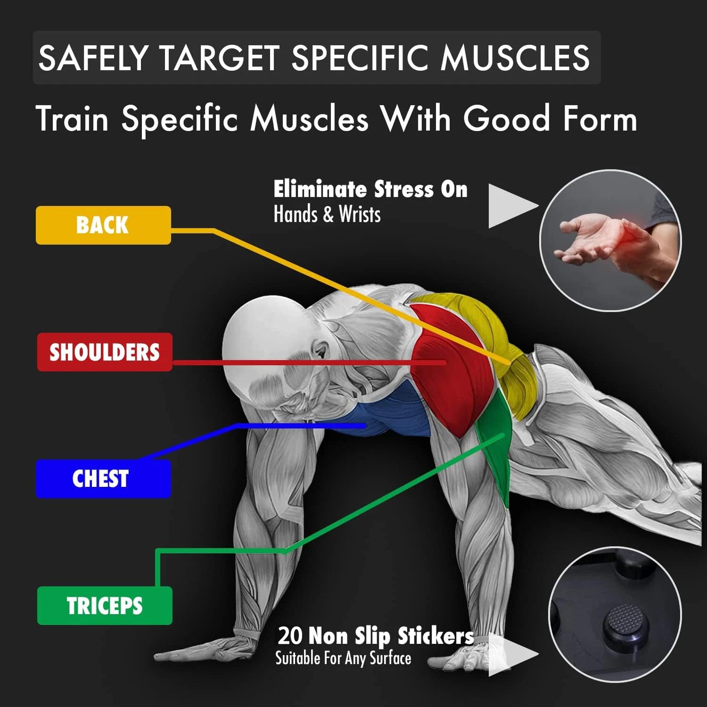 Diagram showing muscle groups targeted by push up board for chest and core including back, shoulders, chest, and triceps with non-slip stickers